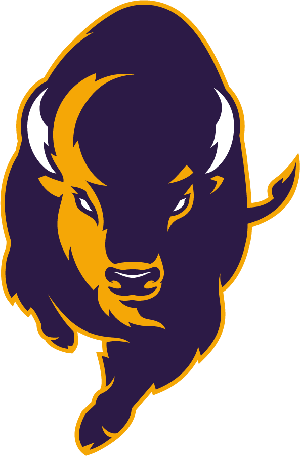 Lipscomb Bisons 2020-Pres Alternate Logo v2 diy iron on heat transfer